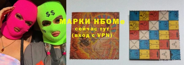 сатива Нефтекумск