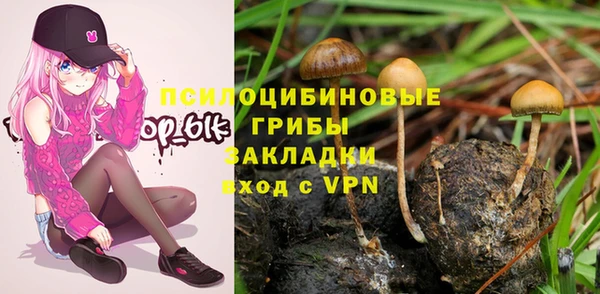 ГАЛЛЮЦИНОГЕННЫЕ ГРИБЫ Ладушкин