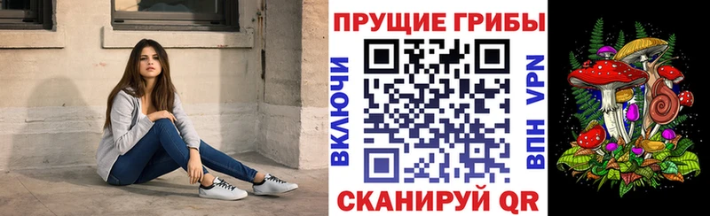 Псилоцибиновые грибы мухоморы Дербент