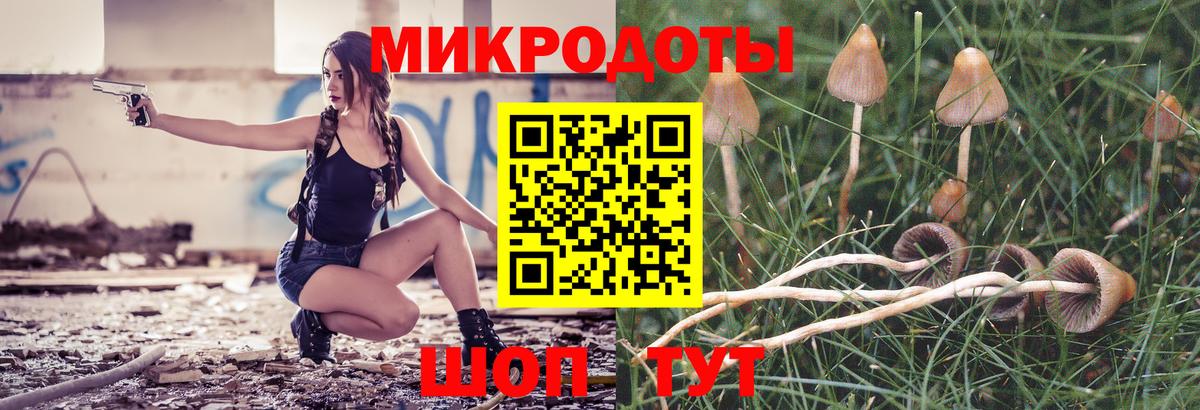 Псилоцибиновые грибы Magic Shrooms Дербент