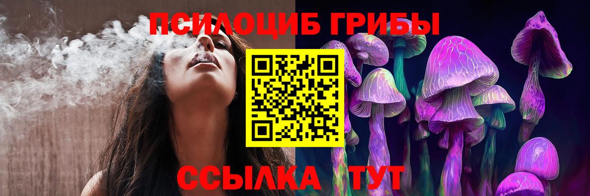Псилоцибиновые грибы Psilocybine cubensis Дербент