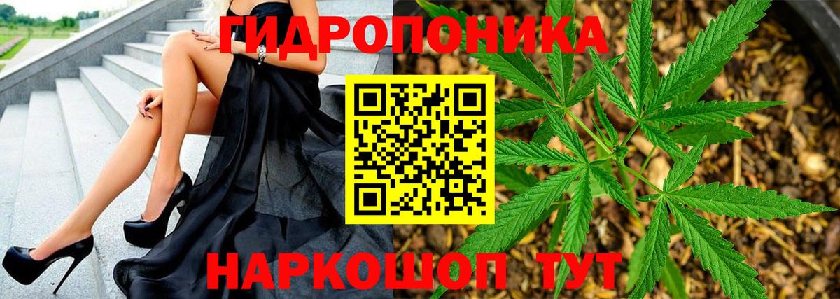 Конопля Bruce Banner Дербент